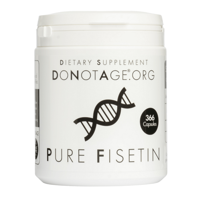 Fisetin, a potent plant flavonoid, removes senescent cells, also known as zombie cells. These cells have stopped dividing but remain metabolically active, contributing to inflammation and various age-related diseases. Their accumulation accelerates aging and increases disease risk. Fisetin helps remove these harmful cells .