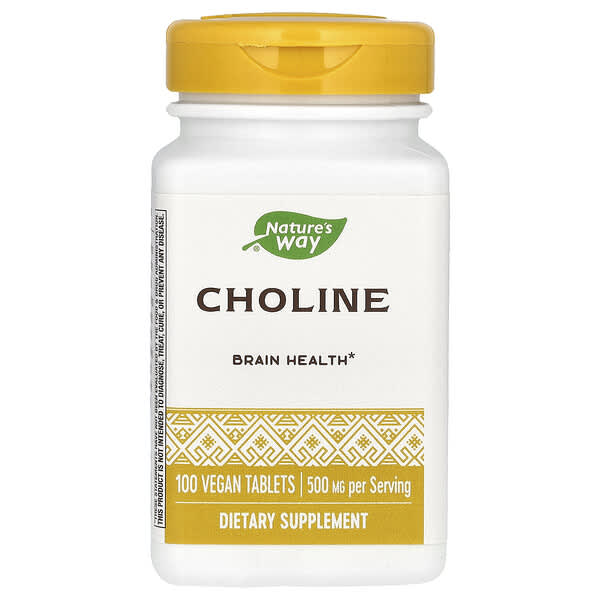 Choline is a crucial nutrient supporting brain development, metabolism, cellular membrane structure, nerve impulse transmission, fat absorption, and chronic inflammation reduction. It plays a vital role in DNA synthesis and prenatal development.